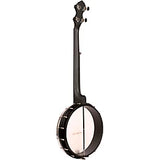 Gold Tone AC-12 - 12-inch Acoustic Composite 5-string Open-back Banjo