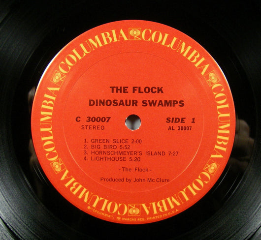 Anerkendelse squat Panter The Flock - Dinosaur Swamps LP, 1970 Prog Rock, VG+ Vinyl – Guitar Gallery  of Alabama